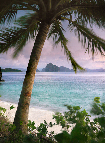Pastel Breeze Palms rustle in the evening breeze on a deserted beach on one of 7,000 islands in the Philippines.